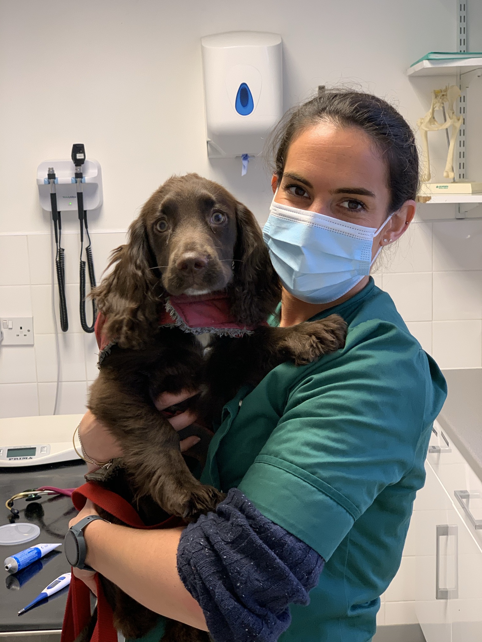 Images Streatham Hill Veterinary Surgery