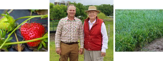 Images Sims Sod Farm