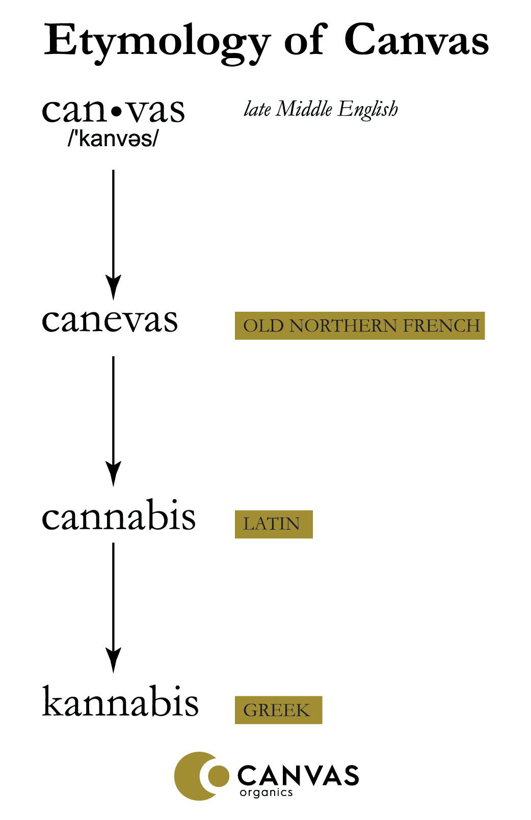 Etymology of Canvas-Canvas-Organics-Albuquerque