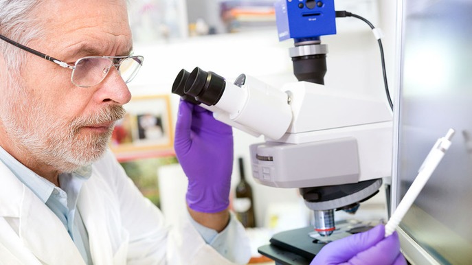 Images Saybolt Danmark A/S