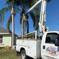 Images Affordable Lawn and Tree Service of Highlands County