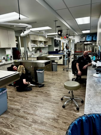 Images VCA Cottonwood Animal Hospital