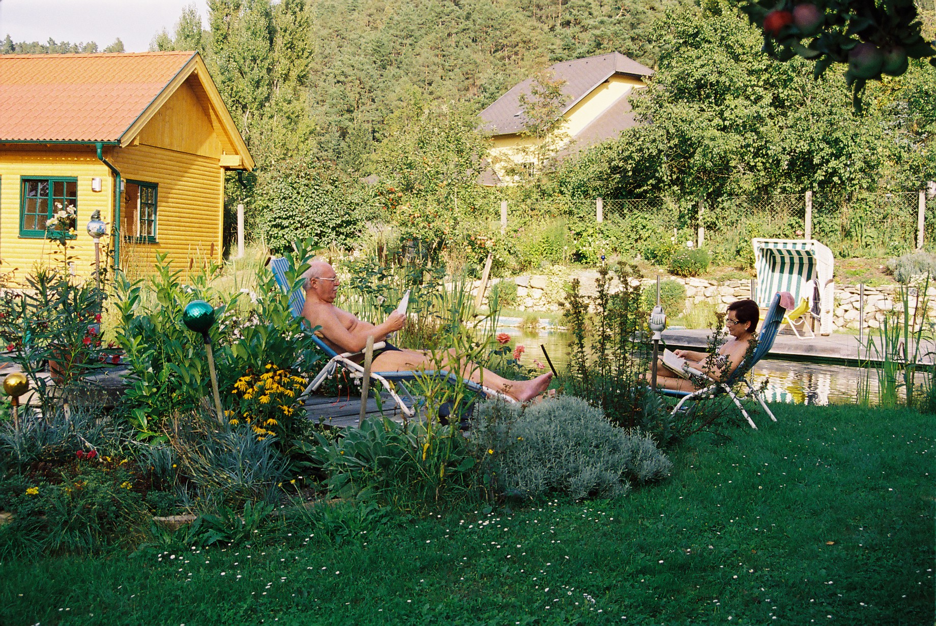 Gasthof - Pension Zur Hammerschmiede, Drosendorf Altstadt 34 in Drosendorf-Zissersdorf