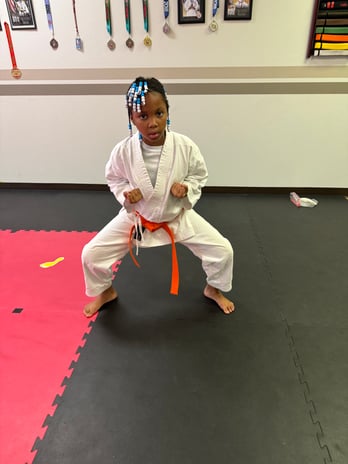 Images Jaguar Dojo