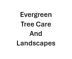 Images Evergreen Tree Care And Landscapes