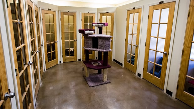 Images VCA Premier Animal Hospital and Pet Resort