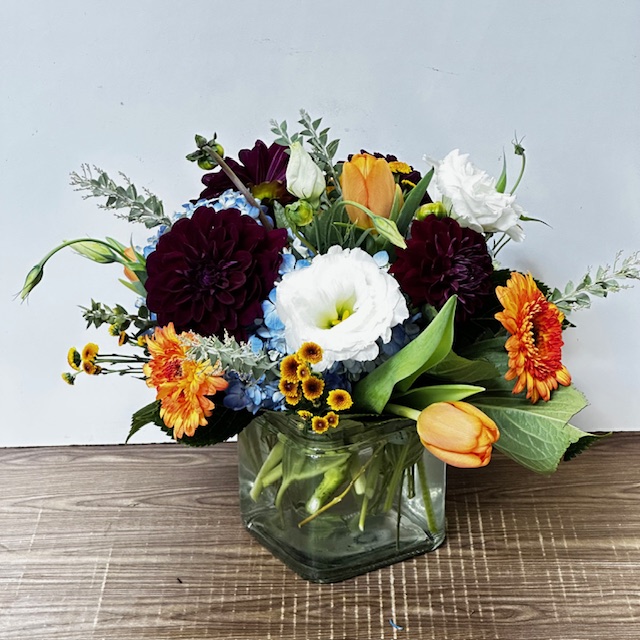 Images Jane's Roses & Flowers