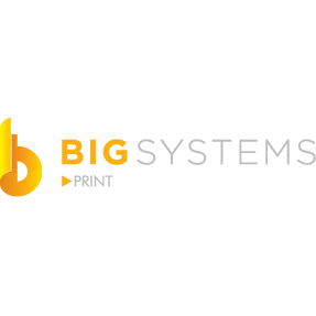 Big Systems, LLC Logo