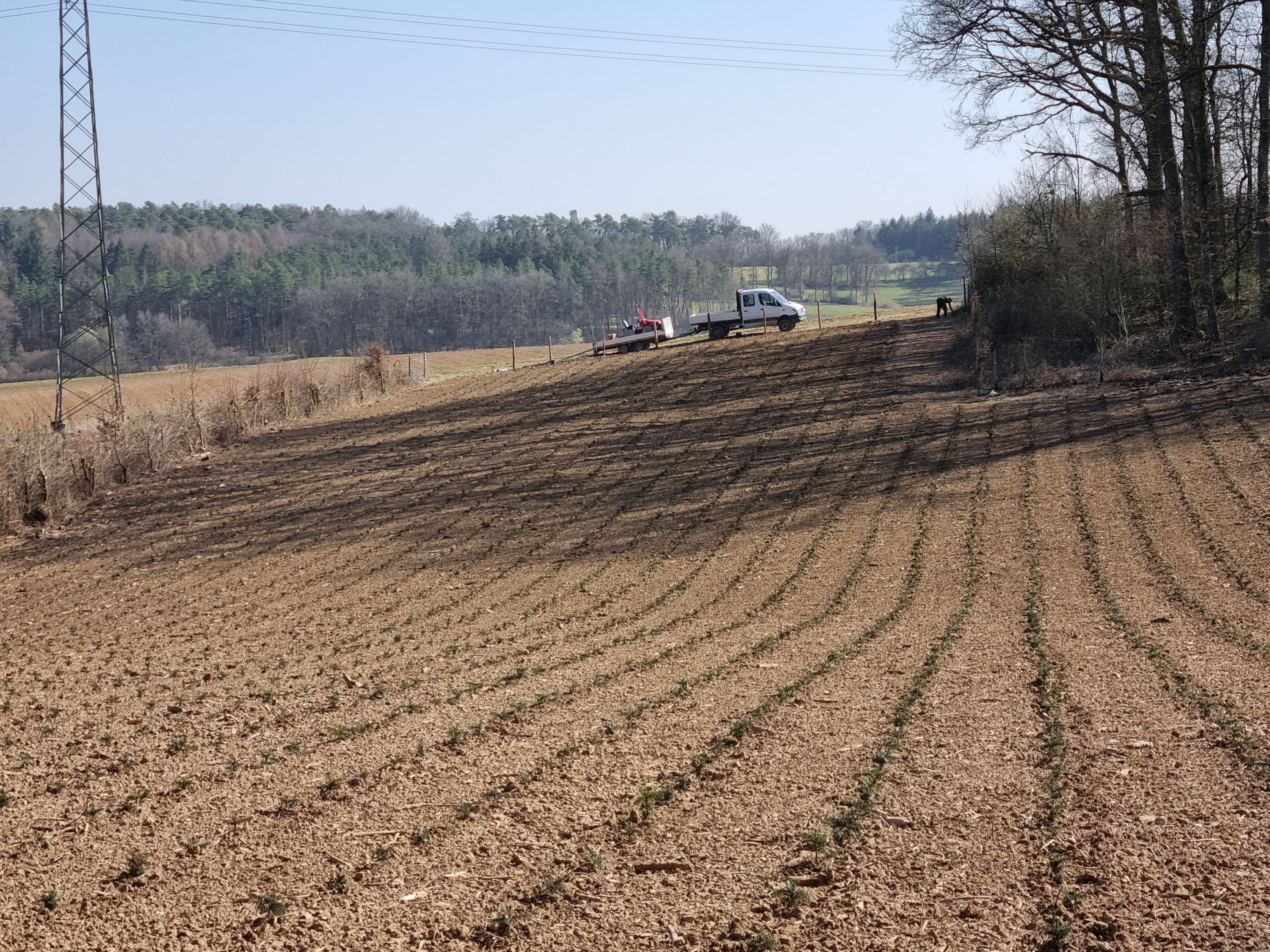 Rheins Tannen, Am Feldrain 8 in Limbach