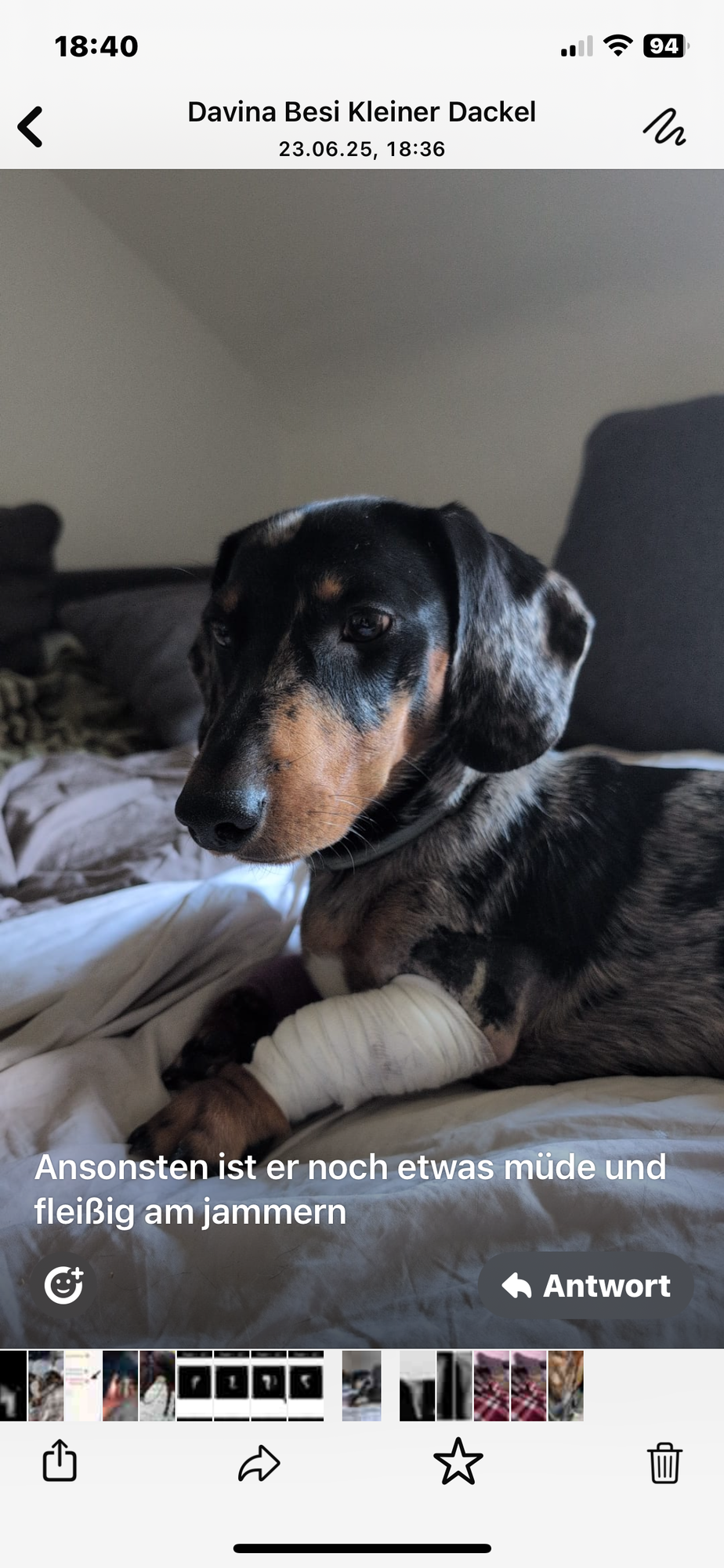 NANO Center CellCare therapie Bioresonanz Daniela Siegmund in Essen