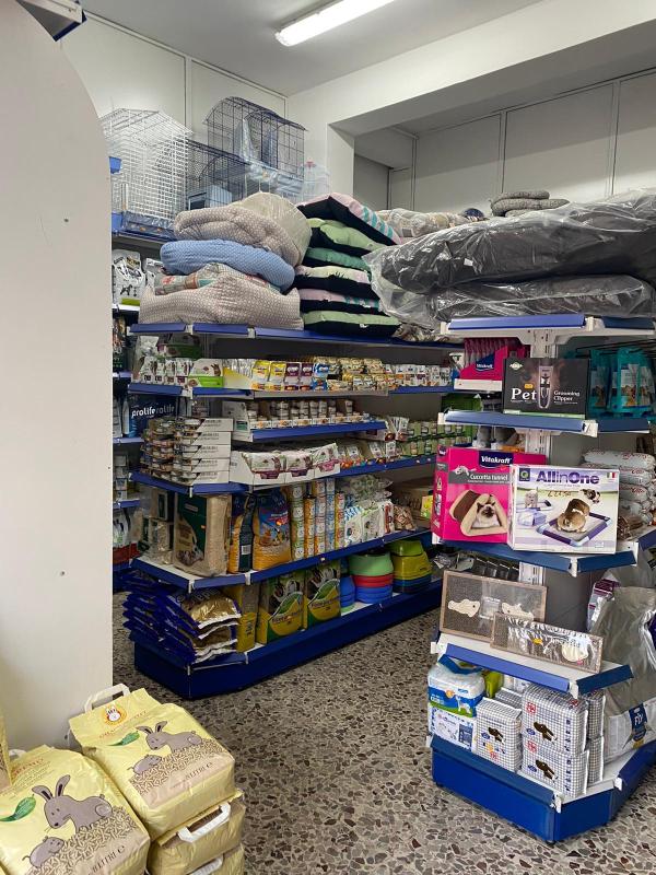 Images Il Mondo degli Animali