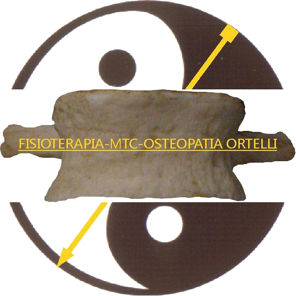Ortelli Paolo Logo