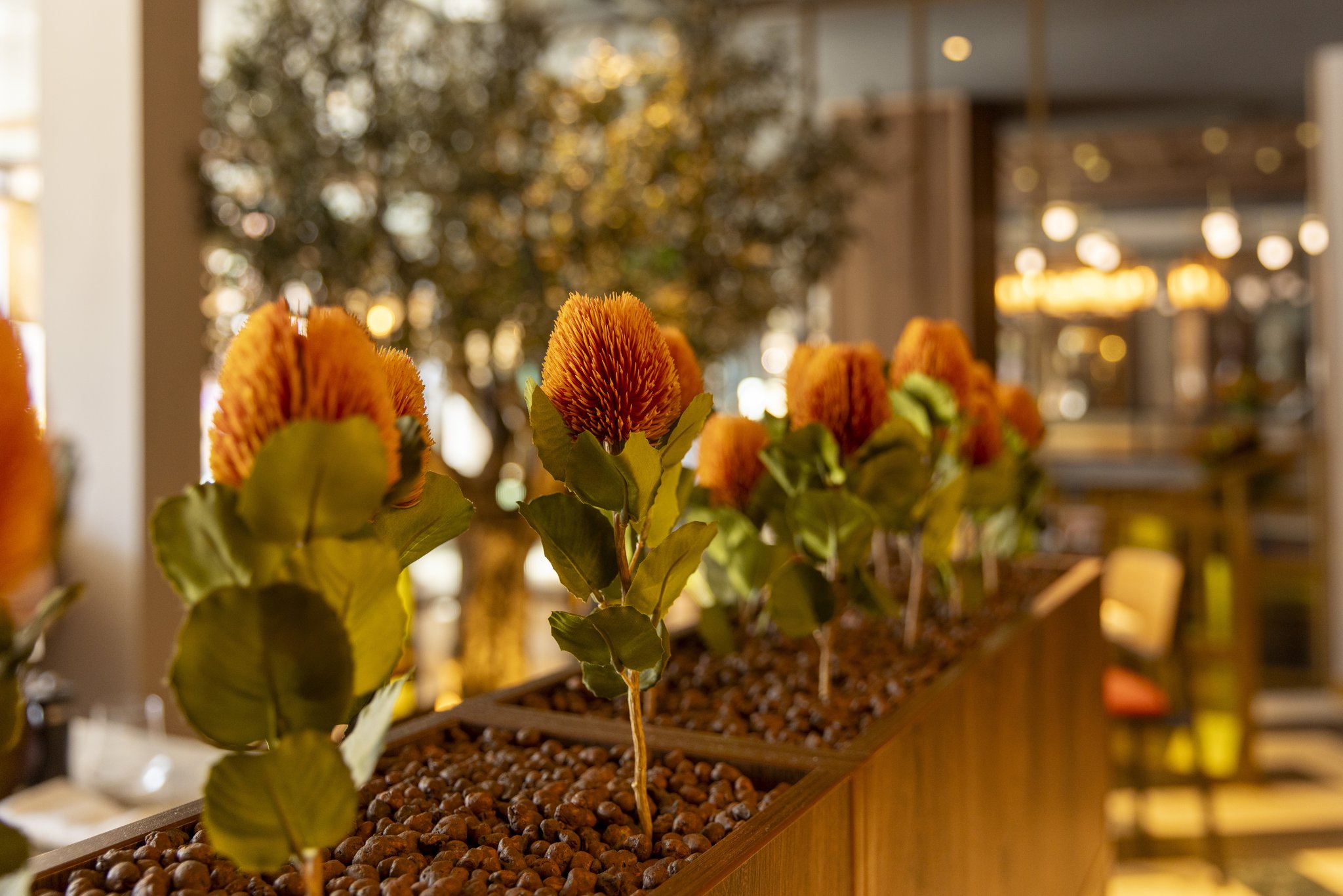 Images Hotel Indigo Leeds by IHG