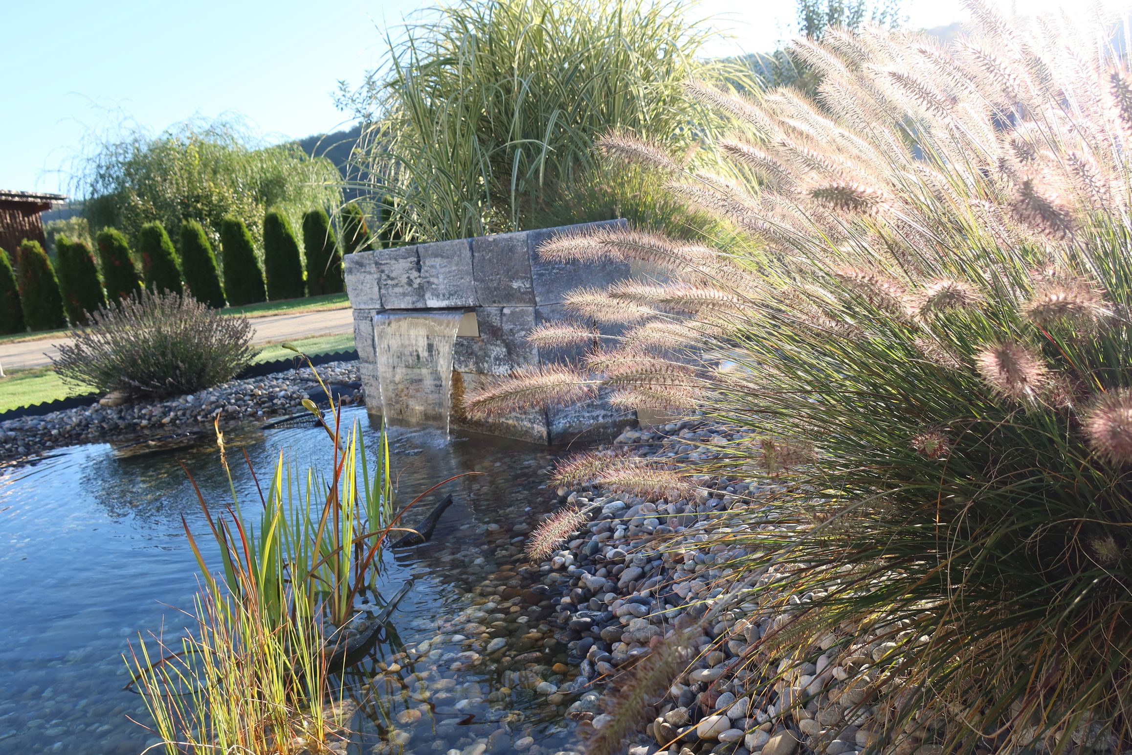 Bilder Fabrice Rondez Sàrl