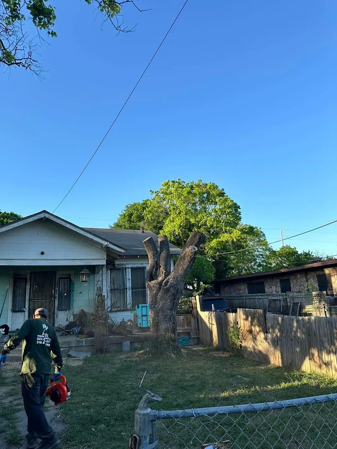 Jo’Se Tree Trimming & Lawn Care Image