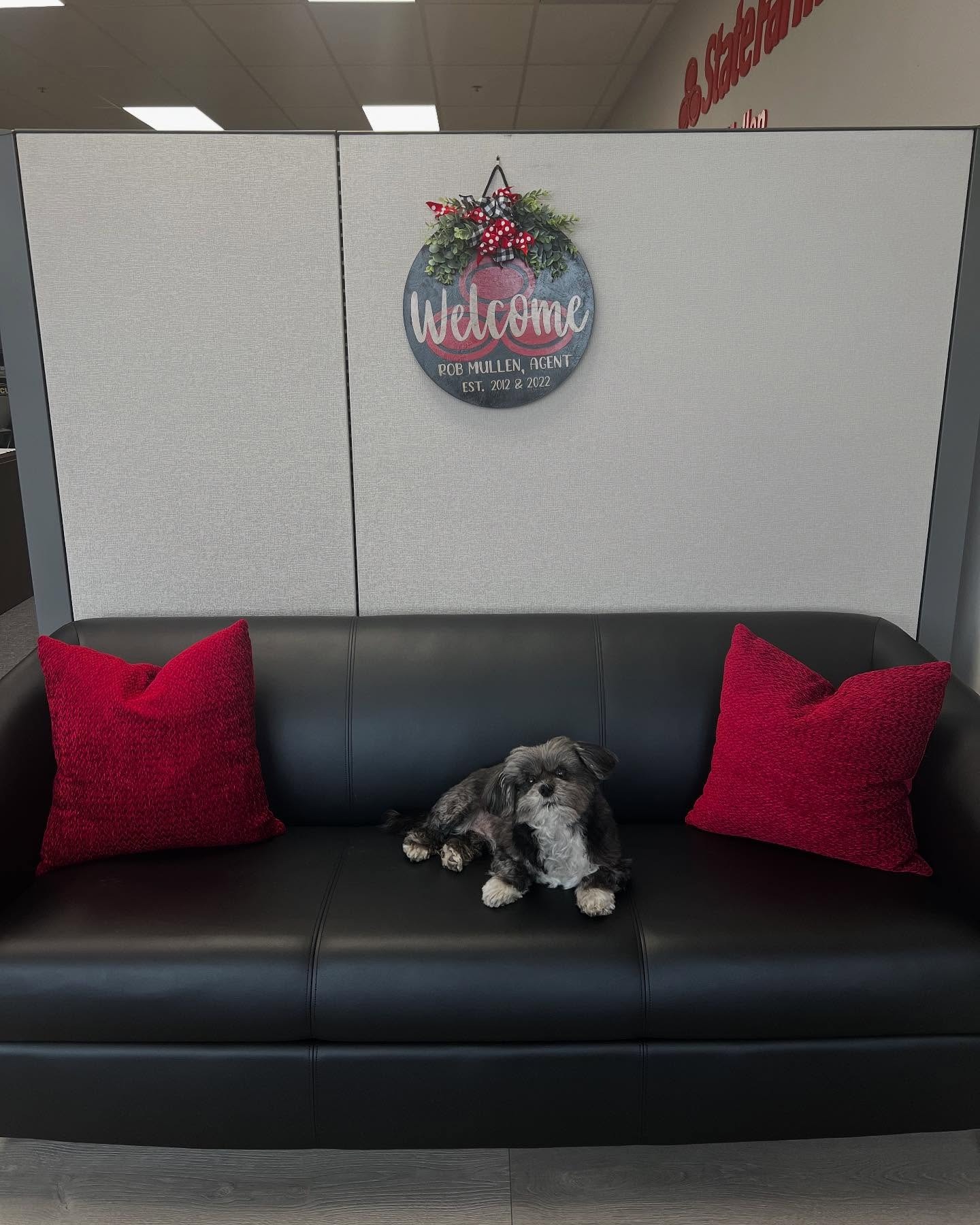 Come in for Jo, stay for a quote!