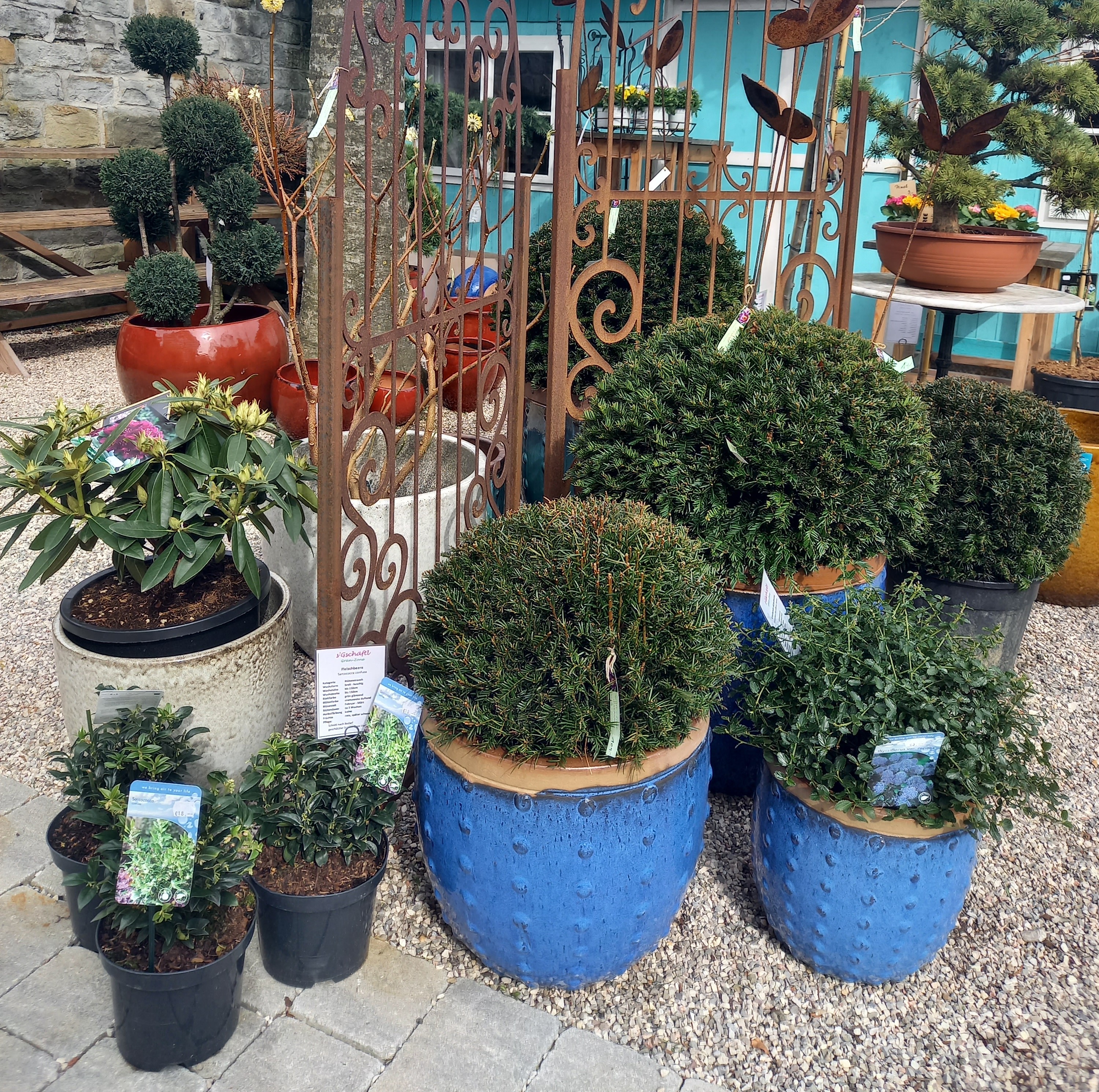 Bild 52 von Grün-Zone