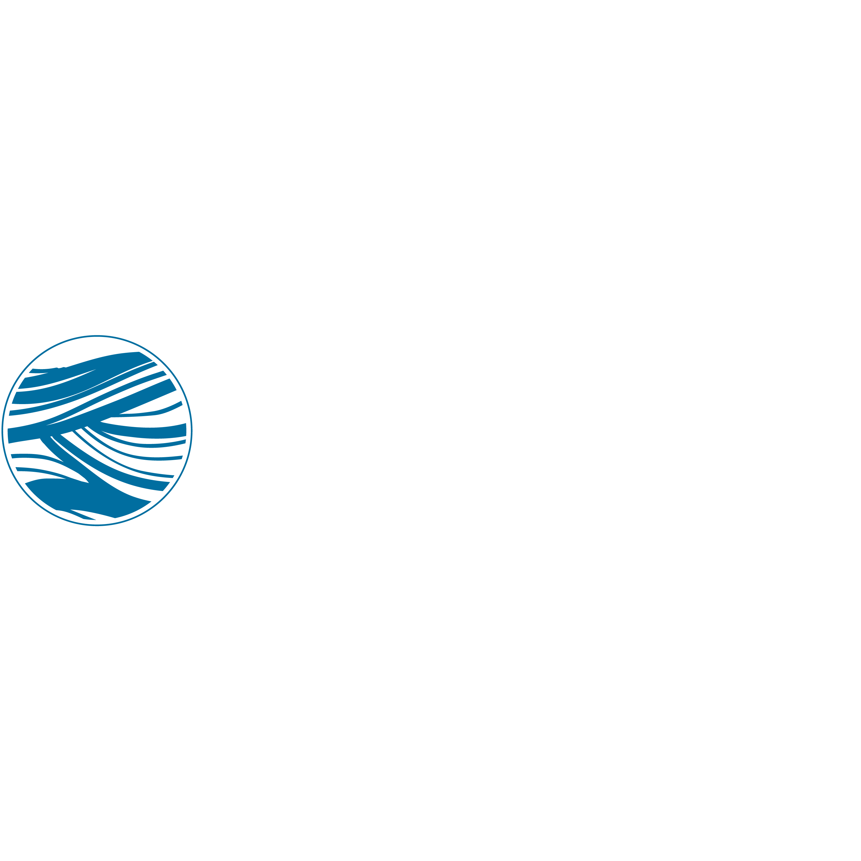 company logo
