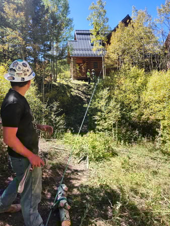 Images H & S Tree Care