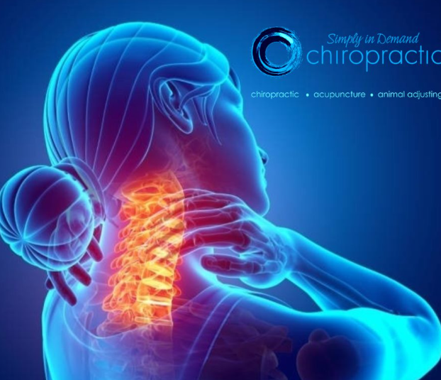 Images Simply In Demand Chiropractic - North Phoenix 85085