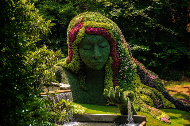 Images Hotel Indigo Atlanta Midtown by IHG