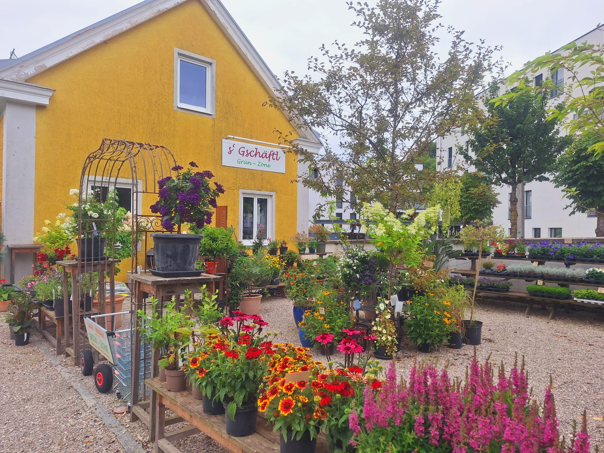 Bild 53 von Grün-Zone