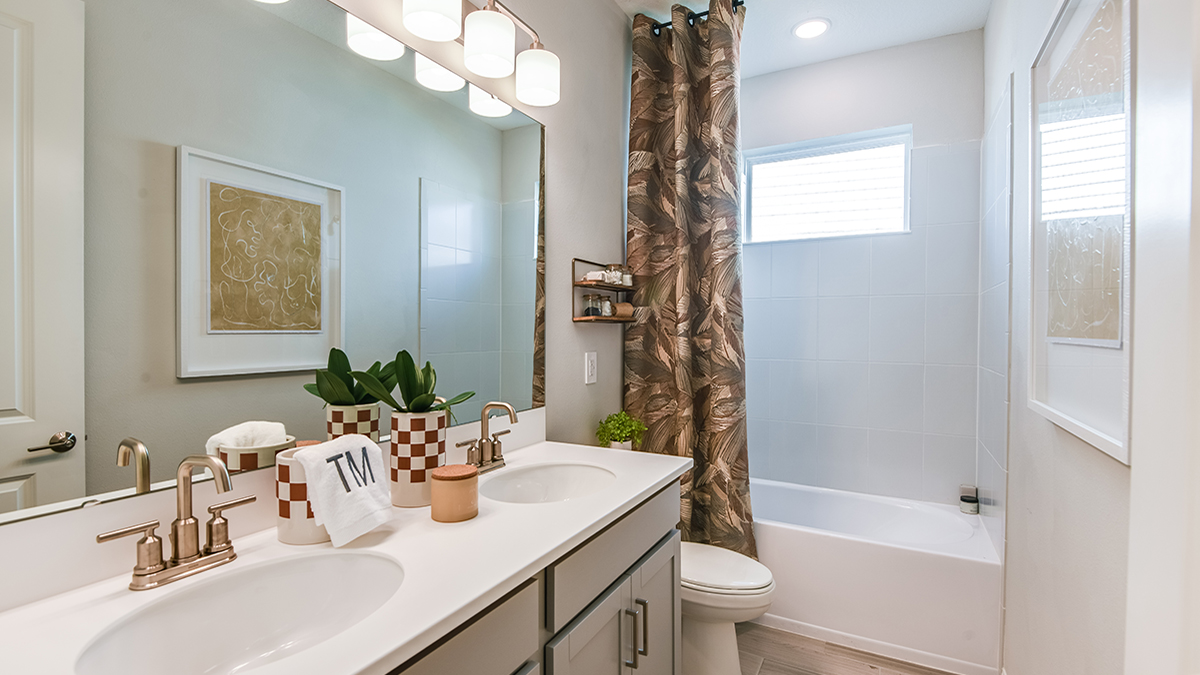 Westview - Taylor Morrison Image