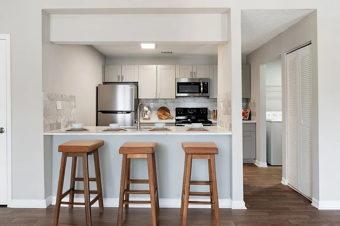 Modern Kitchen