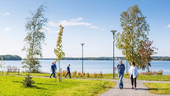 Images Tays Pitkäniemi