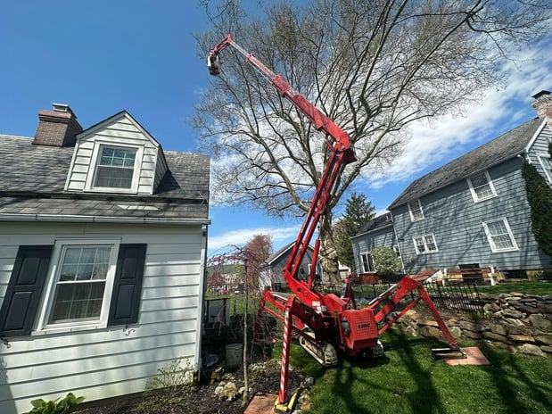 Images Friendly Tree Service Inc