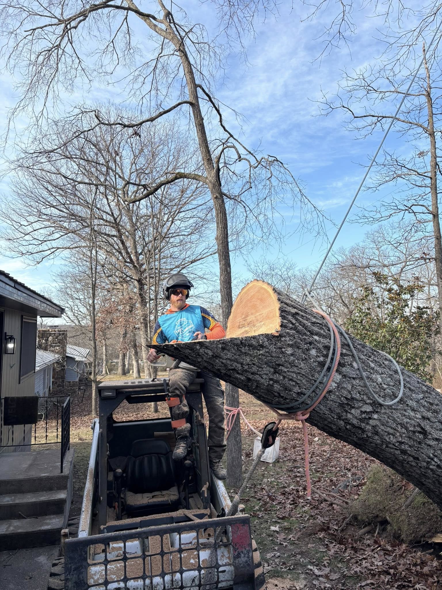 Benoit's Tree Care Image