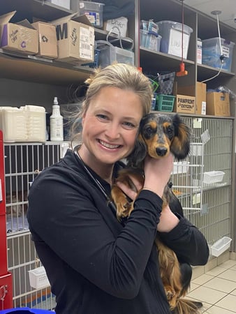 Images VCA Park Cities Animal Hospital