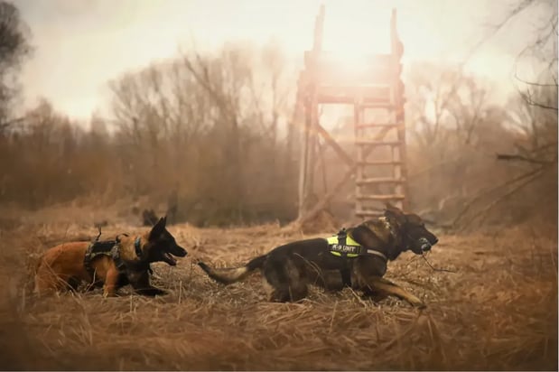 Images Spartan K9 LLC