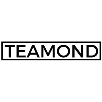 TEAMOND in Karlsruhe - Logo