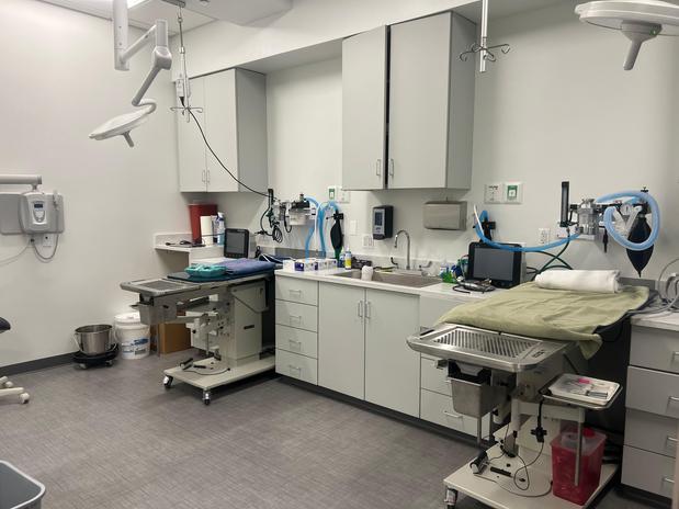 Images VCA Town Center Animal Hospital