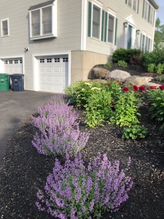 Images Greenleaf’s Garden Design