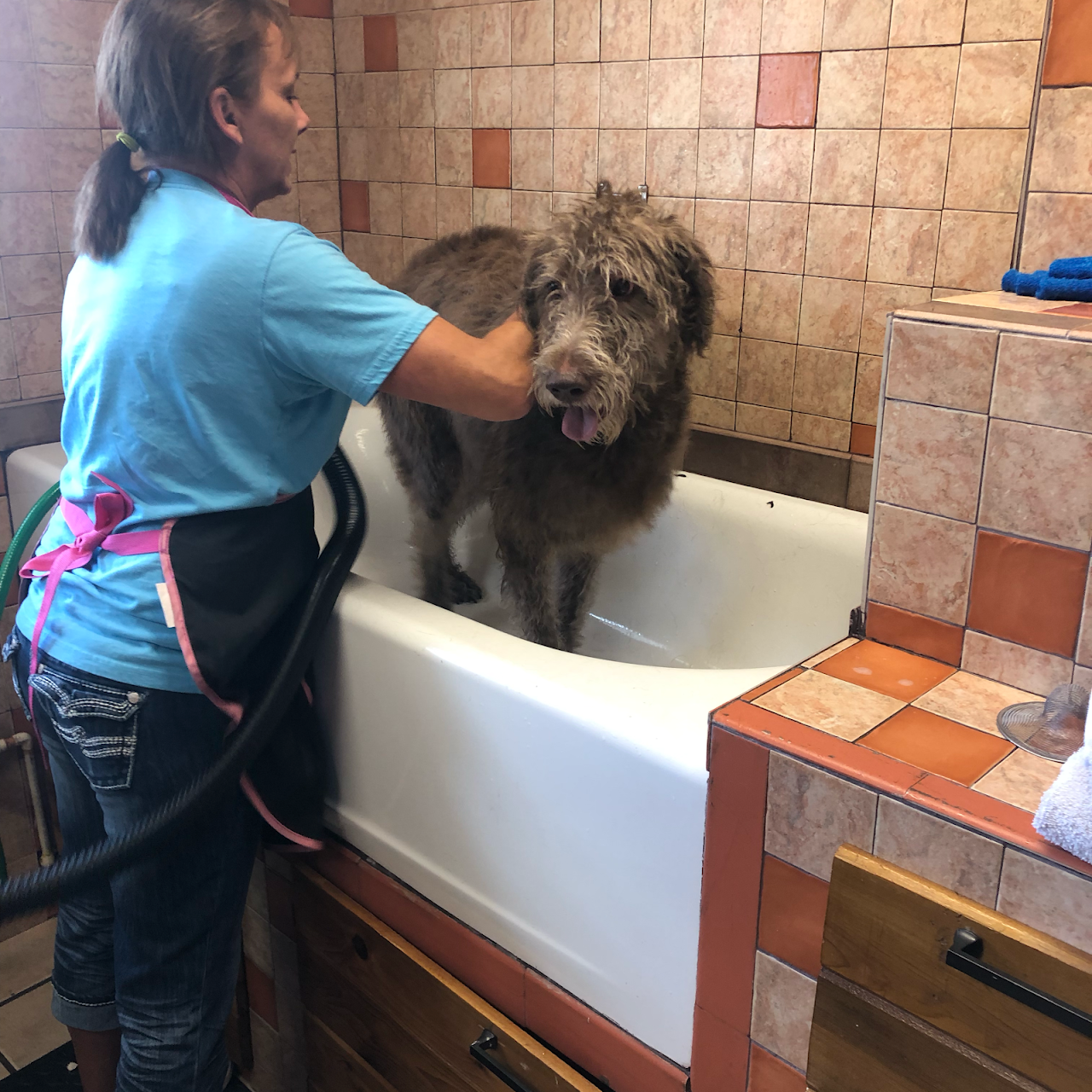 THE DOG HOUSE Grooming Salon