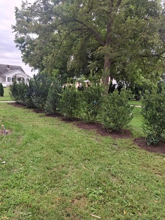 Images J&Z Robledo Landscaping LLC