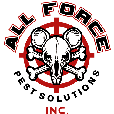 All Force Pest Solutions Inc Logo