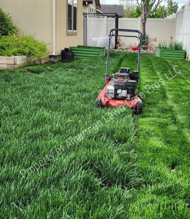 Image 8 | American Lawn Care Pros