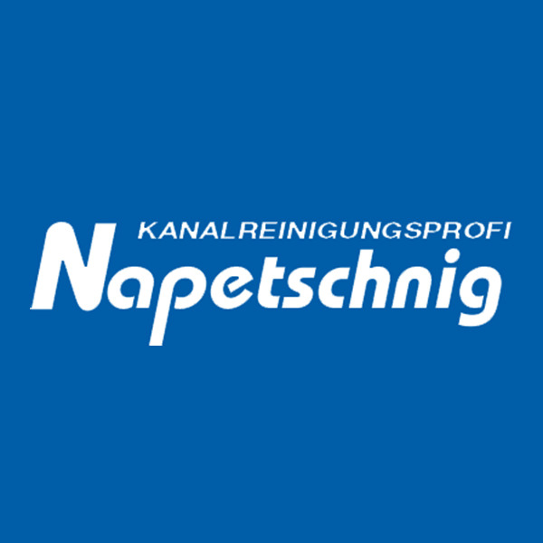 Napetschnig Entsorgungs- u Transporte GesmbH & Co KG Logo