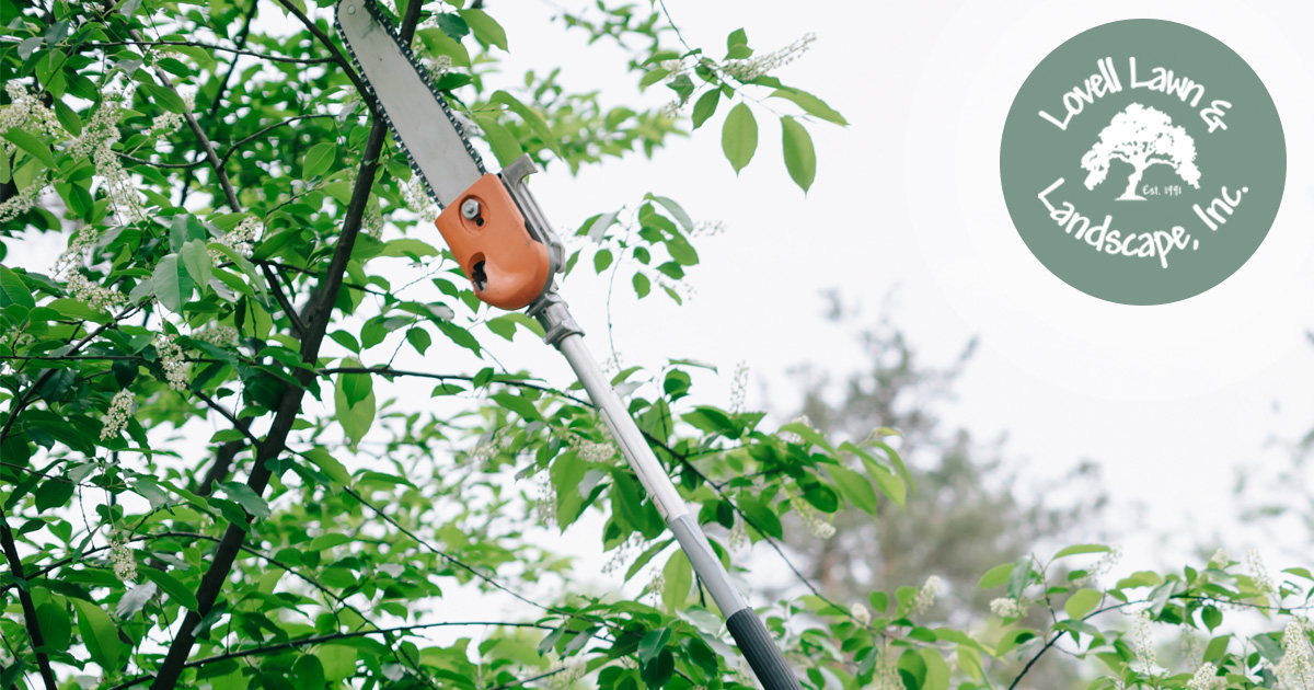 Lovell Lawn & Landscape Inc. Image