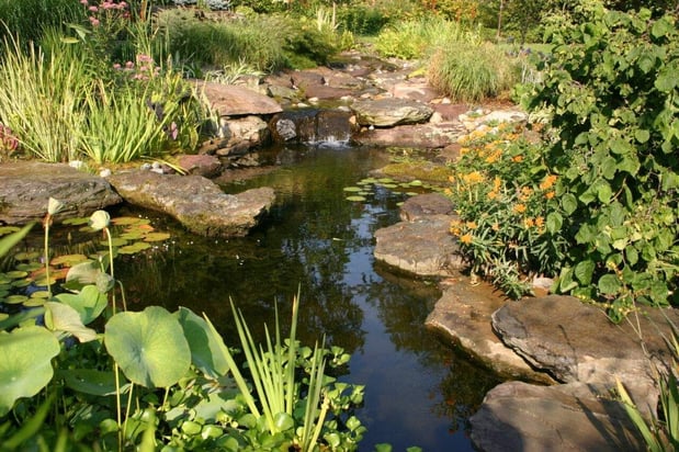 Images Harmony Ponds Inc