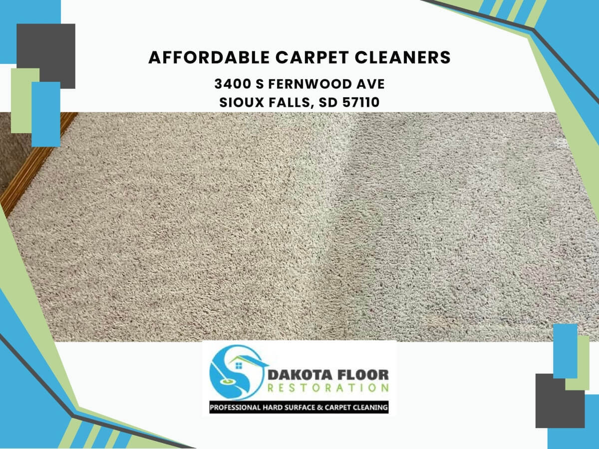 affordable carpet cleaners