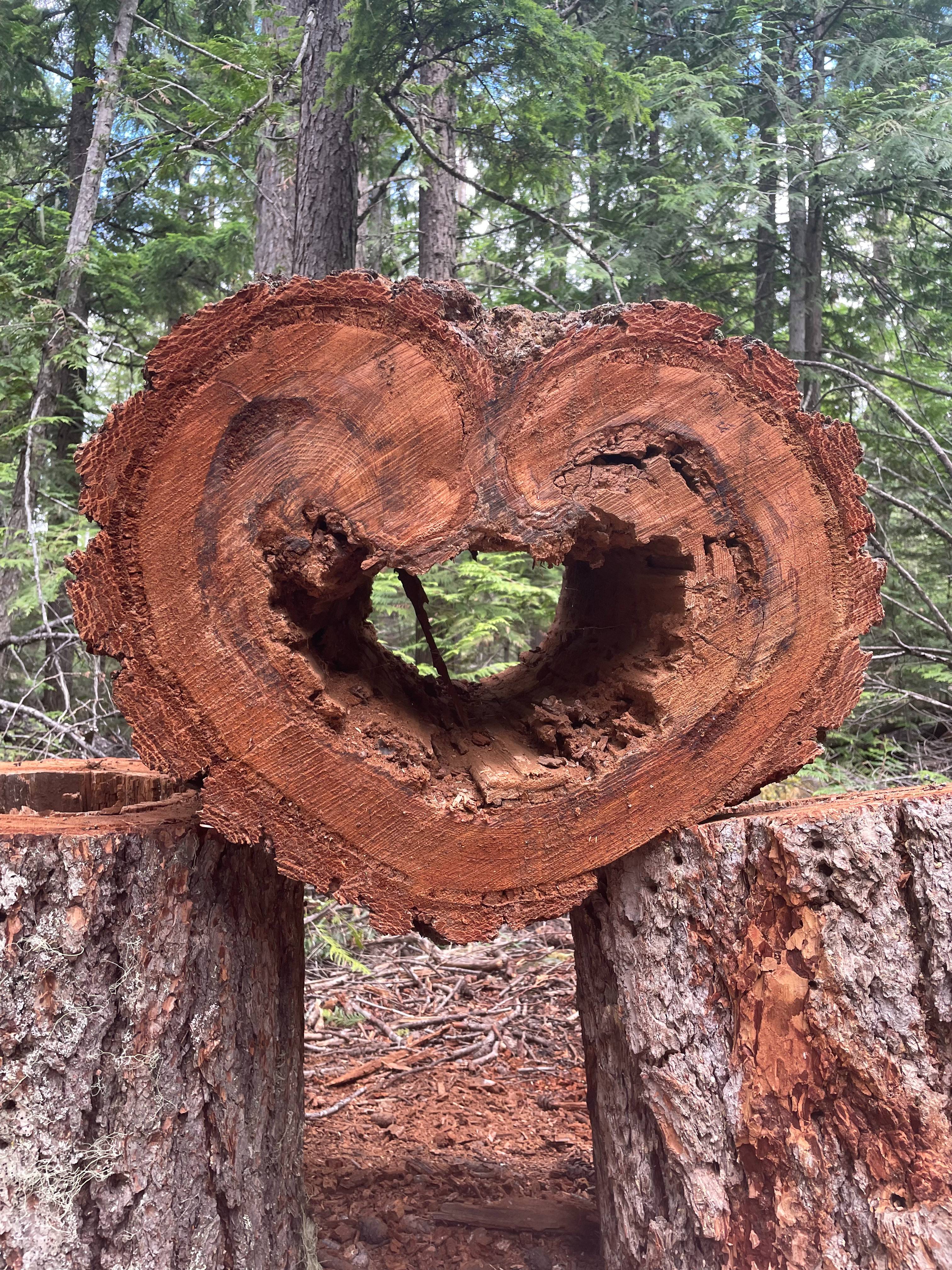 Bilder Tischlerei Hennemann