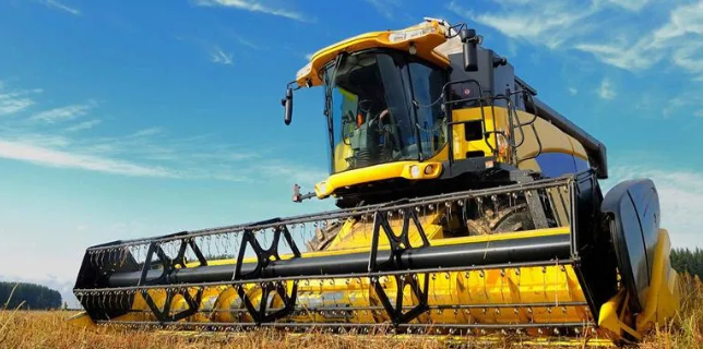 Images Comercial Margonmaos