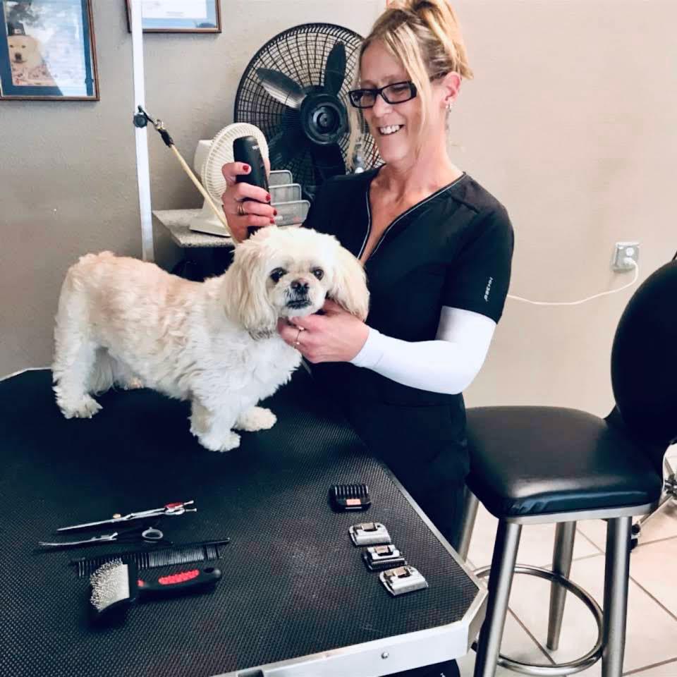 THE DOG HOUSE Grooming Salon