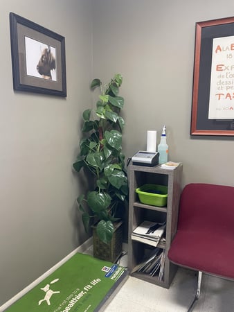 Images Acorn Lake Veterinary Service