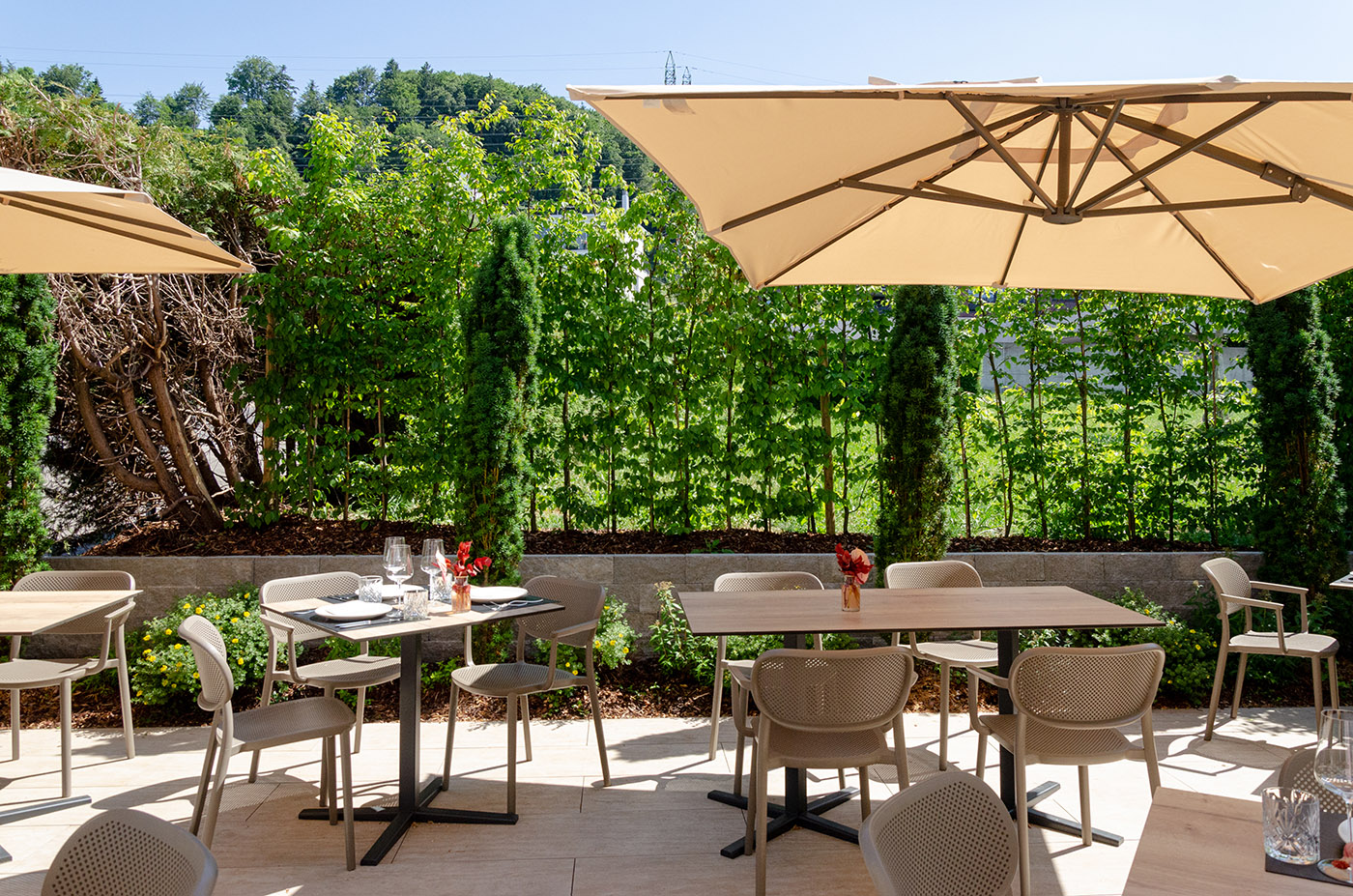 Bilder Grab Gartenbau AG