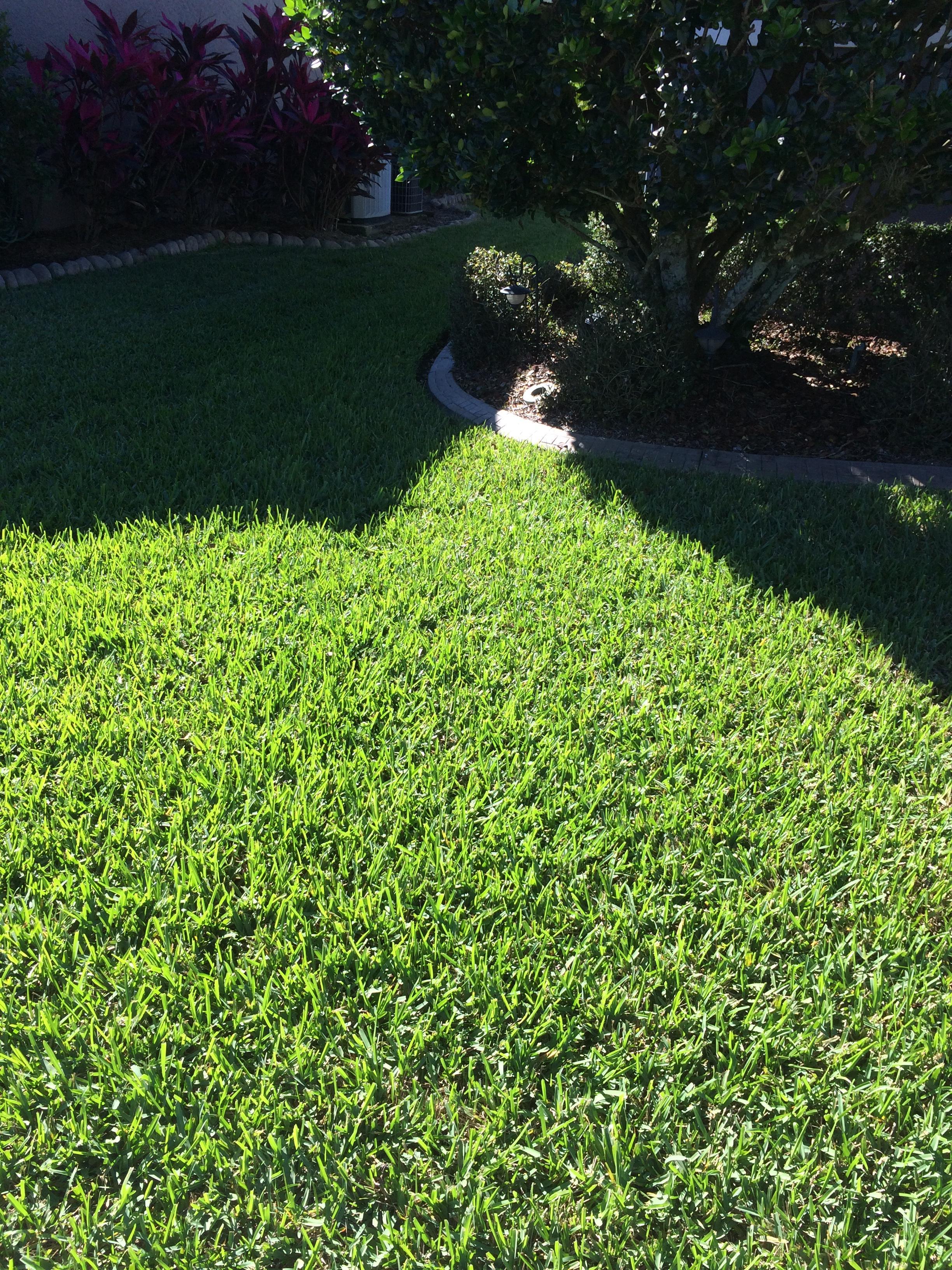 Gp lawn coupon code